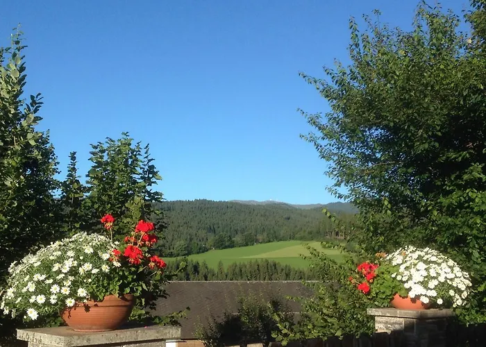 Bio - - Alpengasthof Koralpenblick מלון